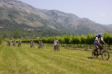 Konavle Valley Bike Tour and Wine Tasting from Cavtat