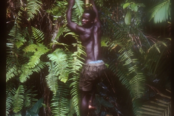 Kpalime and Forest Day Tour from Lome