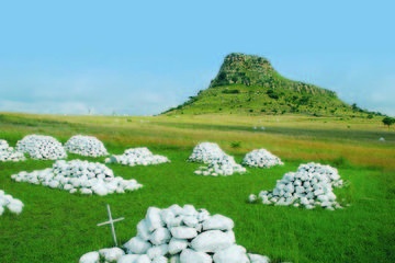 Kwa-Zulu Natal Battlefields Day Tour from Durban