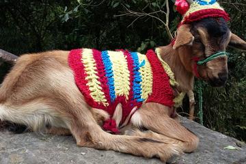 La Chorrera Adventure Park Tour from Bogotá La Chorrera Adventure Park Tour from Bogotá