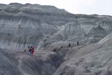 La Leona Petrified Forest Hiking Tour from El Calafate
