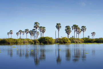 Lago Enriquillo and Isla Cabritos National Park Day Trip from Santo Domingo