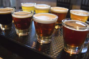 Lakeview and Lincoln Park Beer Tour