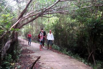 Lan Ha Bay and Viet Hai Village Trekking And Kayaking Day Trip from Cat Ba Island