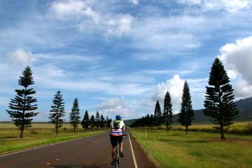 Lanai Full Day Bike Tour And Ferry With Lunch