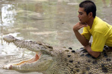 Langkawi Underwater World and Crocodile Farm Tour