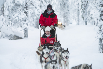 Lapland Husky Sled Ride from Saariselkä