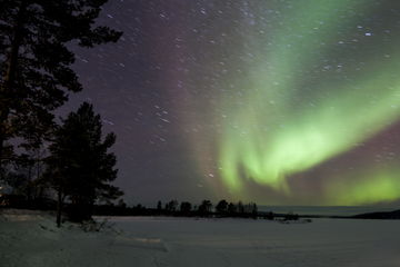 Lapland Northern Lights Adventure from Rovaniemi