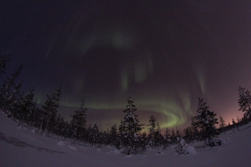 Lapland Northern Lights Safari by Reindeer Sleigh from Saariselkä