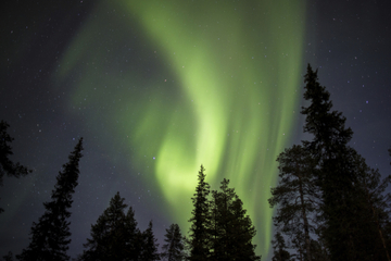 Lapland Northern Lights Safari by Snowmobile from Saariselkä