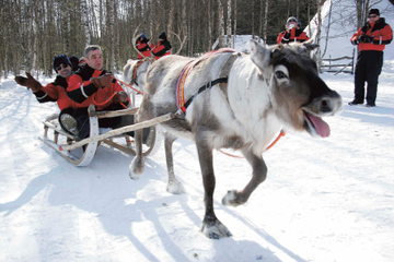 Lapland Reindeer Sleigh Ride to Santa Claus Village from Rovaniemi
