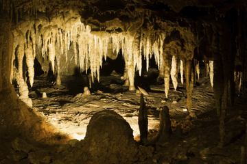 Las Cabachuelas de Morovis Caves Day Trip from San Juan Including Lunch