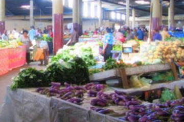 Lautoka Half-Day Sightseeing Tour from Nadi