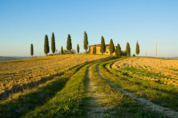 Livorno Shore Excursion: Chianti and Tuscany Countryside Private Wine Tour