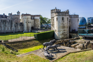 London Super Saver: Royal Walking Tour Including Tower of London and Changing of the Guard plus London Highlights with Afternoon Tea