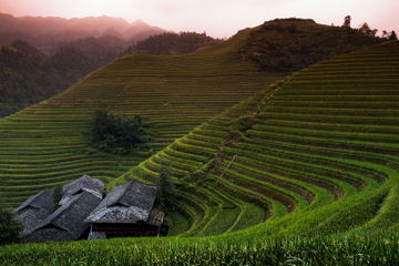 Longji Rice Terraces and Mountain Village Day Trip from Guilin