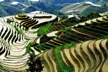 Longji Rice Terraces and Pingan Zhuang Village Day Tour