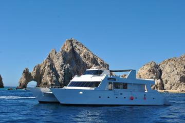 Los Cabos Reef Snorkeling Cruise