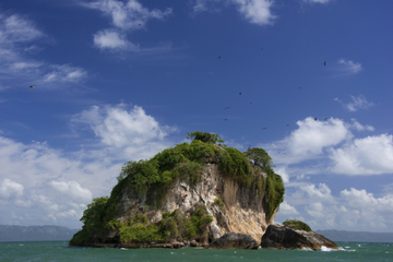 Los Haitises National Park and Cayo Levantado Day Trip from Samaná