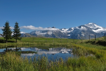 Lucerne Super Saver: Jungfraujoch Swiss Alps and Small-Group Bernese Oberland Day Trips