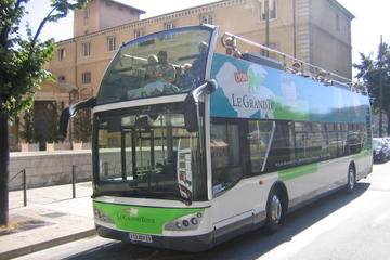 Lyon Hop-On Hop-Off Tour