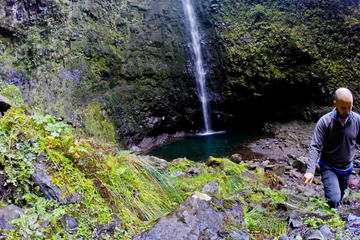 Madeira Levada Walk - Caldeirao Verde