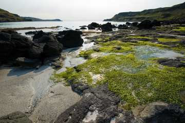 Magical Mull, Iona and the West Highlands Isles