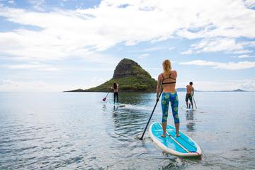 Mahina Hawaii Adventures