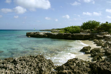 Malmok Beach Sightseeing Segway Tour in Aruba