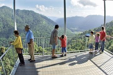 MaMu, Misty Mountains and Wooroonooran National Park Full-Day Tour