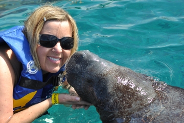 Manatee Encounter in Cozumel at Chankanaab Beach Adventure Park