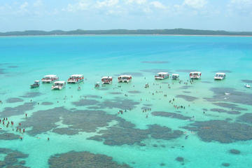 Maragogi Beach Tour from Recife
