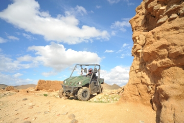 Marrakech Desert and Palm Grove Buggy Tour Including Berber Village