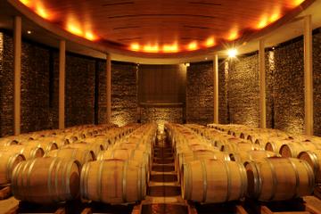 Matetic Winery Day Trip in San Antonio Valley from Santiago