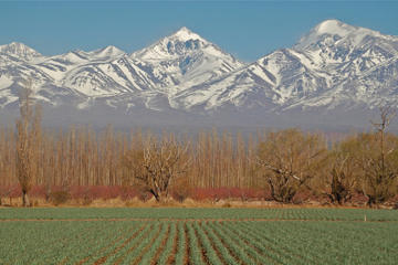 Mendoza City Tour
