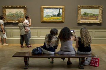Metropolitan Museum of Art Highlights Tour with Skip-the-Line Access