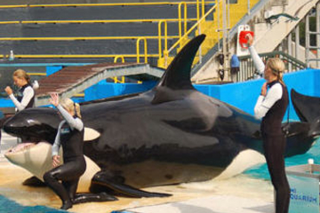 Miami Seaquarium with Transport