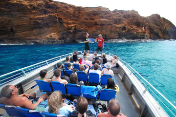 Molokini Wild Side: Snorkel And Cruise From Maui