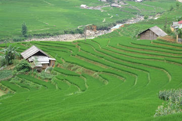 Mong Sen and Ta Phin Full Day Hiking Trip from Sapa