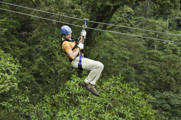 Montego Bay Shore Excursion: Zipline and Jungle River Tubing