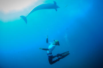 Mornington Peninsula Day Trip from Melbourne Including Dolphin Swim Cruise