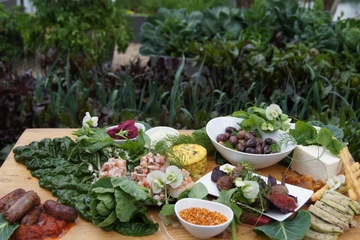Mornington Peninsula Day Trip Including Tour of Green Olive at Red Hill