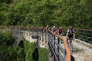 Mountain Biking Parenzana Trail