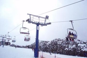 Mt Buller Day Trip with Ski or Snowboard Lesson or Unlimited Lift Pass