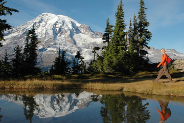 Mt Rainier Small-Group Hiking or Snowshoeing Tour with Lunch