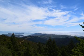 Mt. Tam Views and Redwoods Hike