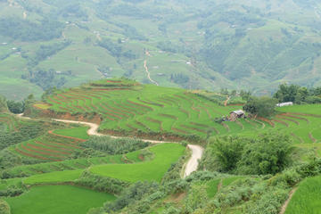 Muong Hoa Valley Bike and Hike Half-Day Tour