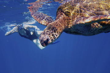 Na Pali Coast Kauai Snorkel and Sail