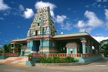 Nadi Full-Day Tour Including Garden of the Sleeping Giant, Mud Baths and Nadi Town