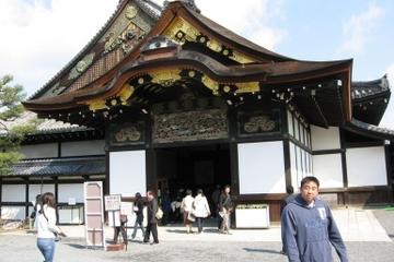 Nara Afternoon Tour of Todaiji Temple, Deer Park and Kasuga Shrine from Kyoto